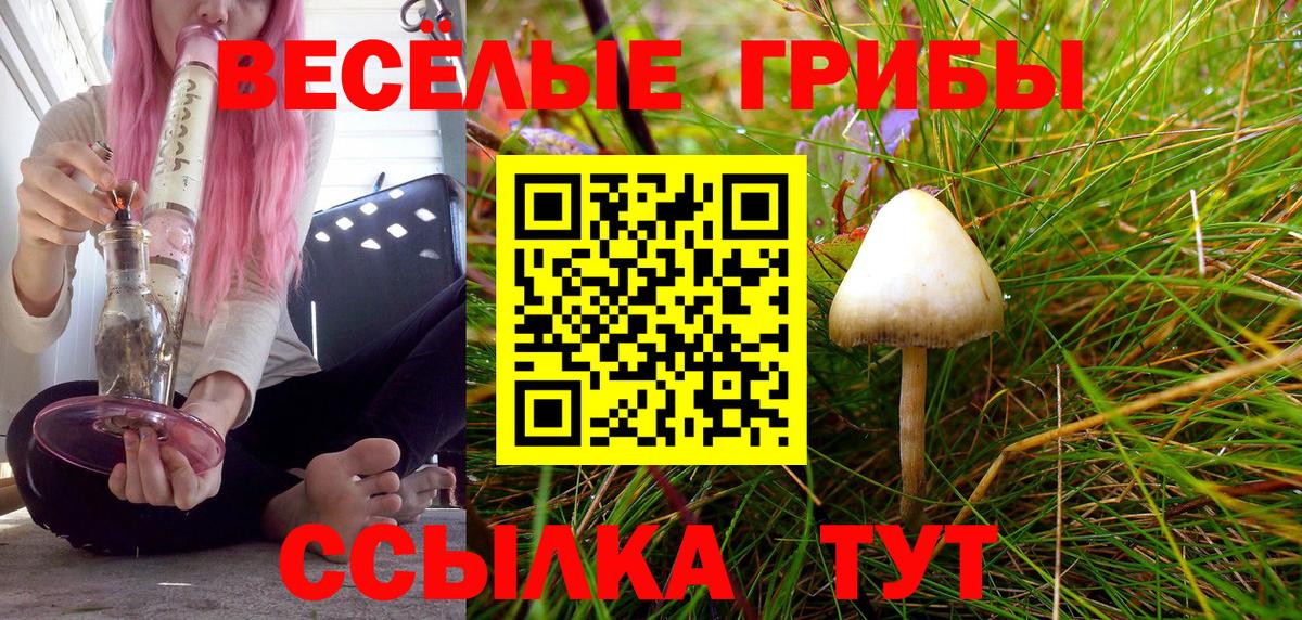 Псилоцибиновые грибы мухоморы  Вход с VPN  Котельники 